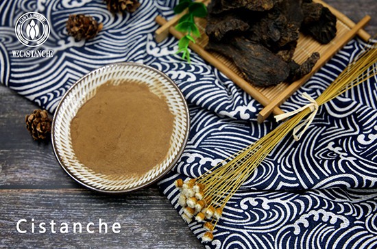 cistanche extract powder (2)