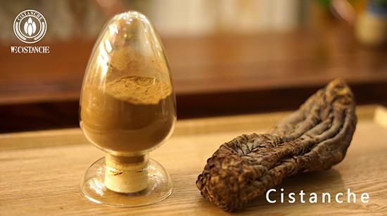 cistanche powder
