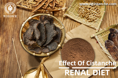 Cistanche benefits