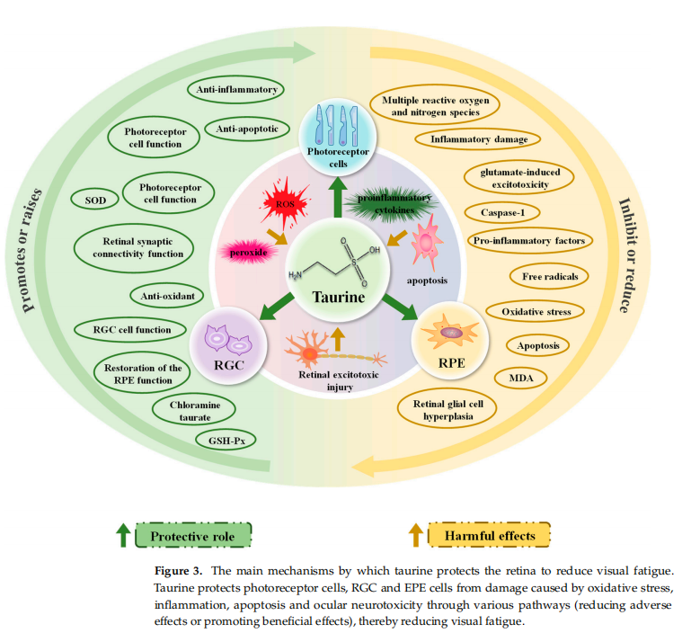 fatigue causes