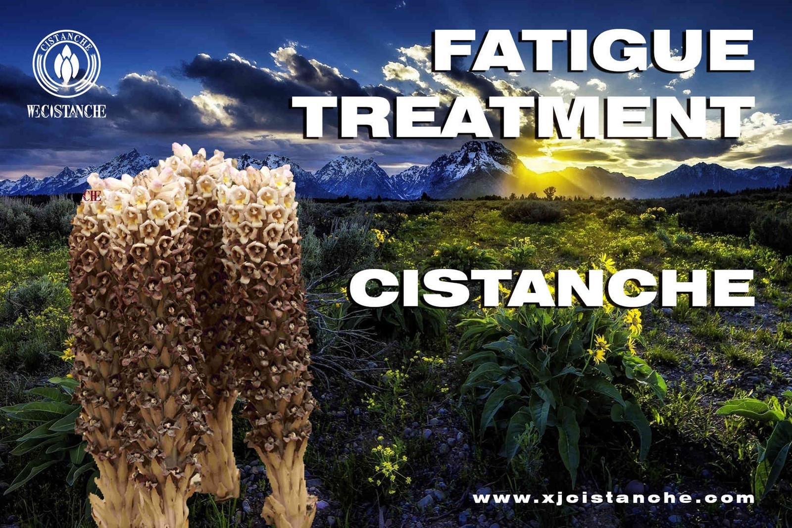 fatigue (2)