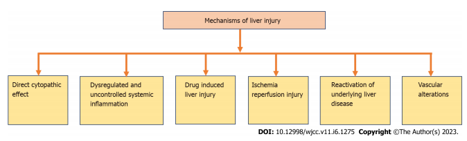 Figure 2 Mechanisms of liver injury. Figure 2 Mechanisms of liver injury.