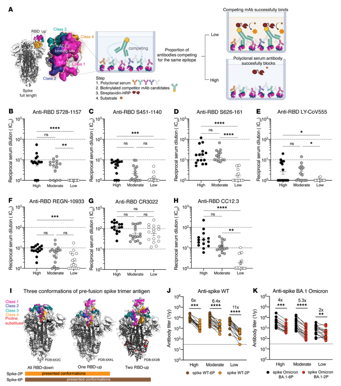 Figure 5. Convalescent serum antibody competition with broadly neutralizing RBD-reactive mAbs and comparison of serum antibody response against 6P- versus 2P-stabilized spikes Figure 5. Convalescent serum antibody competition with broadly neutralizing RBD-reactive mAbs and comparison of serum antibody response against 6P- versus 2P-stabilized spikes