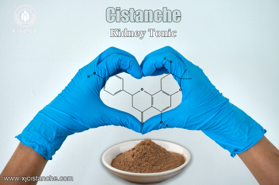 ORGANIC CISTANCHE EXTRACT WITH 25% ECHINACOSIDE AND 9% ACTEOSIDE