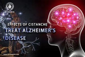 increase brain power