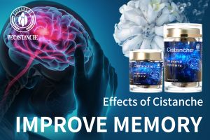 ways to improve memory