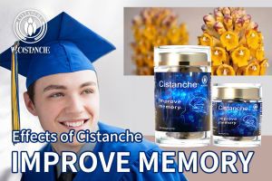 supplements to improve memory