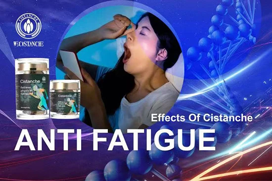 effects of cistanche-anti fatigue (3)