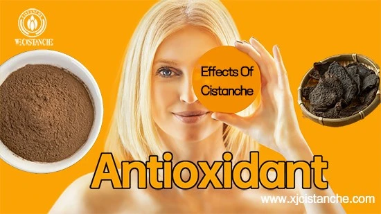 Desert living cistancheAntioxidant Desert living cistancheAntioxidant